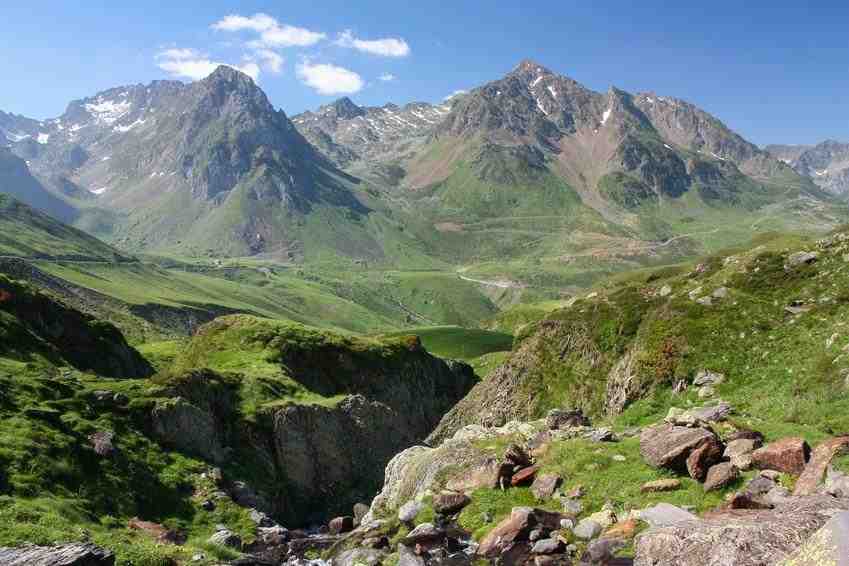 hoge, pyreneeen